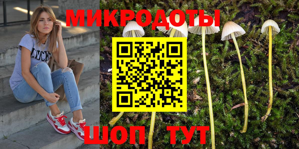 сколько стоит  Вход с VPN  Учалы  Псилоцибиновые грибы мухоморы 